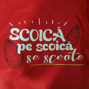 Portofoliu Imprimare DTG - Zivara
